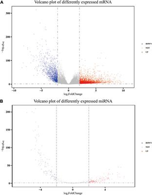 Identification and verification of a prognostic signature based on a miRNA–mRNA interaction pattern in colon adenocarcinoma